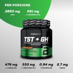 Testosteron und hormonaromatisiertes Pulvergetränk mit DAA, TST+GH, 300 g (50 Dosen), Orangengeschmack.