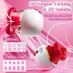 Stimulateur électrique pour femmes avec 10 fonctions de succion et de léchage - Vibrateur clitoridien et anal avec écran LCD - Jouet sexuel rechargeable pour couples