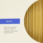 Spaghettoni, Bronze gezogen, BIO, 500g, Bio-Hartweizengrieß Matt, Monograno Felicetti 