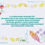 Asciugoni Regina Küchenpapier, 2 2-lagige Rollen, 100% FSC-zertifiziertes Papier