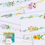 Asciugoni Regina Küchenpapier, 24 2-lagige Rollen, 100% FSC-zertifiziertes Papier