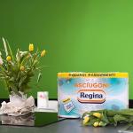 Asciugoni Regina Küchenpapier, 24 2-lagige Rollen, 100% FSC-zertifiziertes Papier