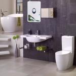 Generatore di ozono 2 in 1 e ionizzatore per aria, acqua e cibo, rimuove virus