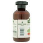 antica erboristeria ortie 250ml