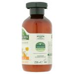 antica erboristeria camomille 250ml