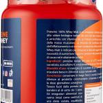 Matt Sport Protein, 100% Whey, boisson aromatisée au chocolat, 450g