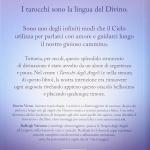 Il Grande libro dei tarocchi degli angeli